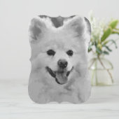 Japanese Spitz Dog (Standing Front)