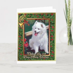Japanese Spitz Dog Blank Christmas Card