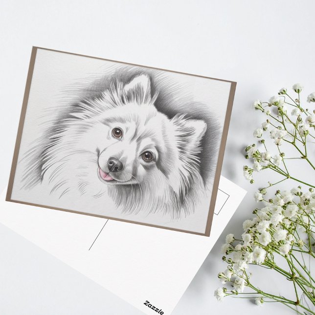 Japanese Spitz Dog Breed Sketch Illustration Postcard (japanese spitz framed sketch postcard)