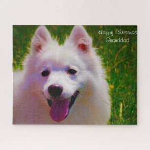 Japanese Spitz Dog. Jigsaw Puzzle