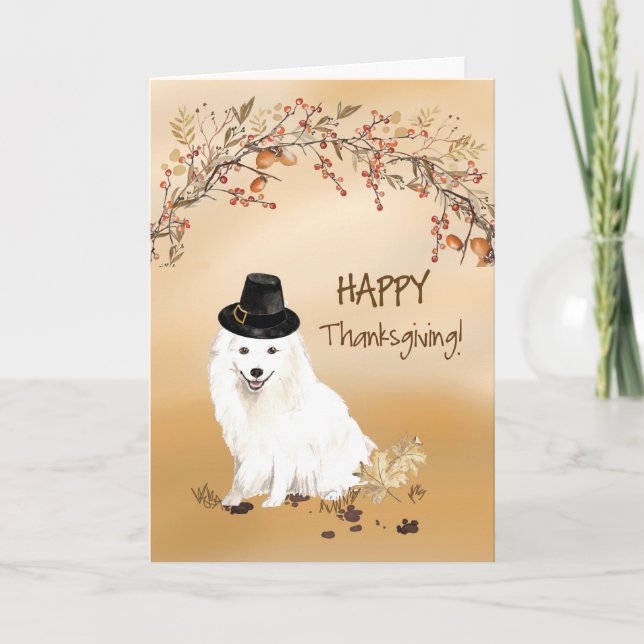 Japanese Spitz Funny Pilgrim Hat Thanksgiving Card (Front)