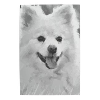 Japanese Spitz