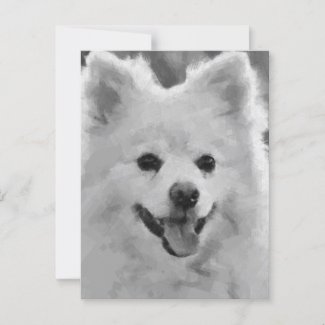 Japanese Spitz