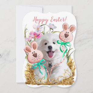 Japanese Spitz puppy and gingerbread hares