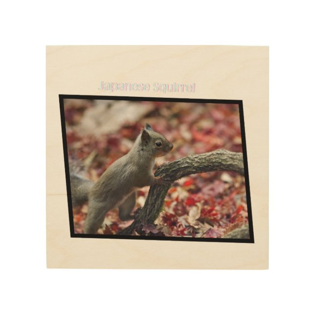 Japanese Squirrel Wood Wall Art (Front)