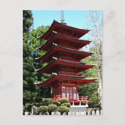 Japanese Teahouse Balboa Park Postcard