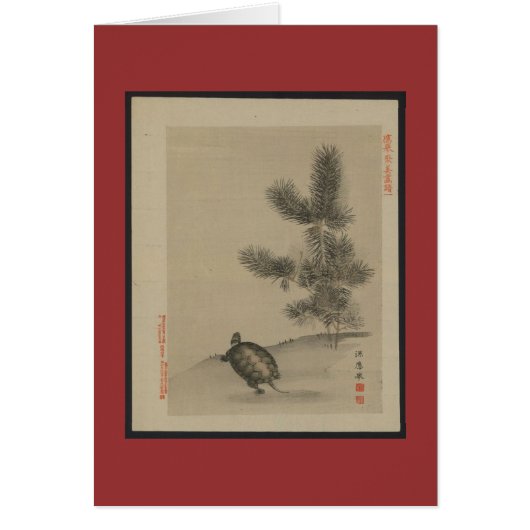 Japanese Turtle Cards (Front)