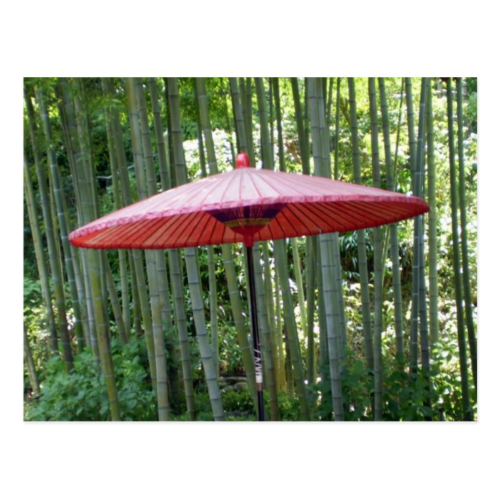 Japanese umbrella among the bamboo post card