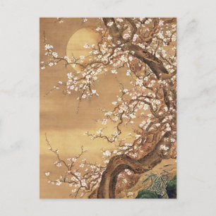 Japanese vintage plum blossoms in moonlight postcard