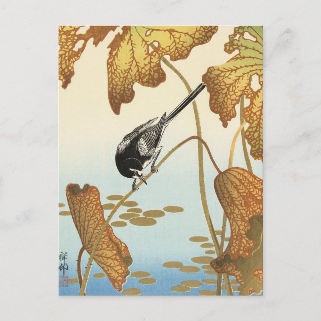 Japanese Wagtail on Lotus Plant by Ohara Koson Postcard (Front)