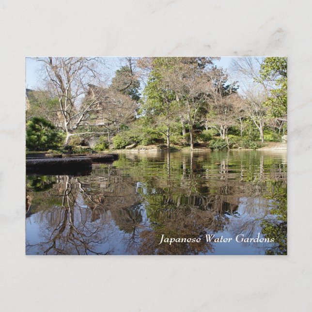 Japanese Water Gardens, Fort Worth Texas Postcard (Front)