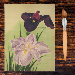 Japanese Water Iris Vintage Botanical Catalog Tissue Paper