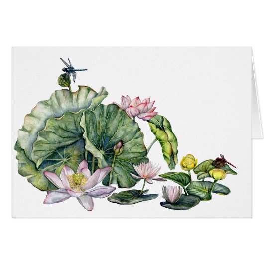 Japanese Water Lilies and Lotus Flowers (Front Horizontal)