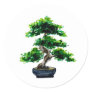 Japanese Watercolor Bonsai Tree Classic Round Sticker