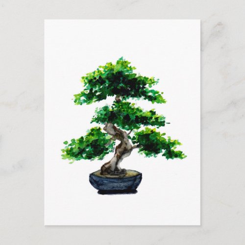 Japanese Watercolor Bonsai Tree Postcard