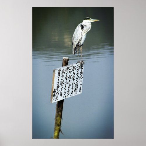 Japanese Waterfowl _ Kyoto Japan Poster