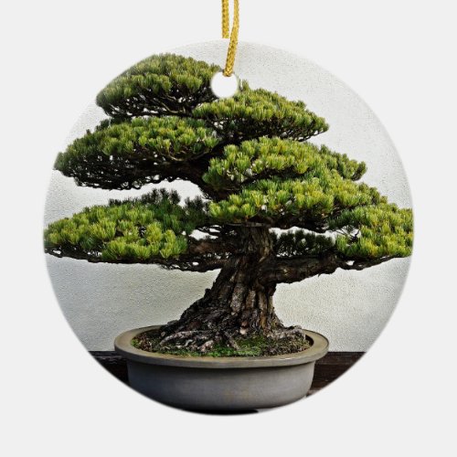 Japanese White Pine Bonsai Ceramic Ornament