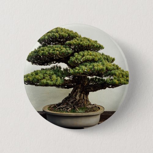 Japanese White Pine Bonsai Tree Button