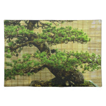 Japanese White Pine Bonsai Tree Floral Photo