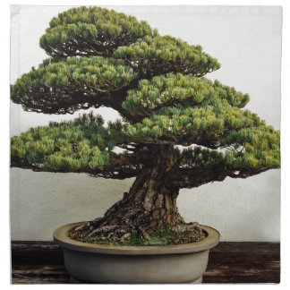 Japanese White Pine Bonsai Tree Napkin