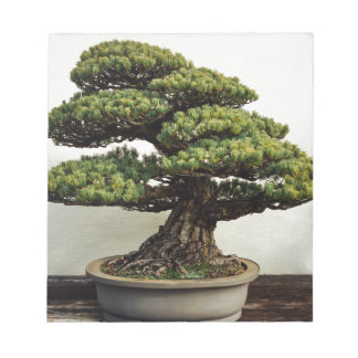 Japanese White Pine Bonsai Tree Notepad