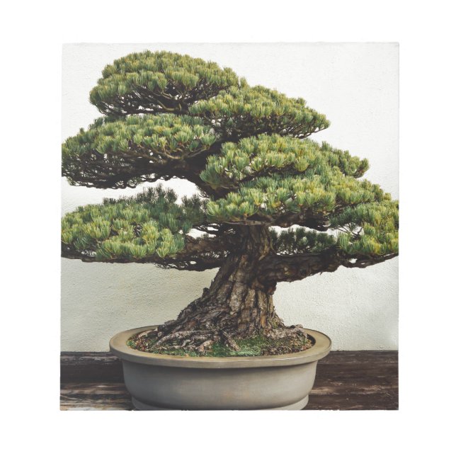 Japanese White Pine Bonsai Tree Notepad (Front)