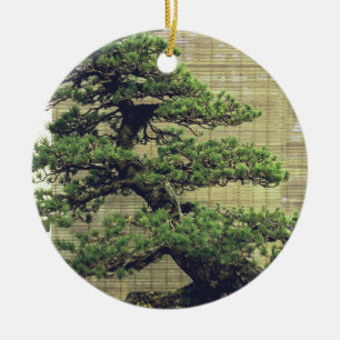 Japanese White Pine Bonsai Tree Photo Ceramic Ornament