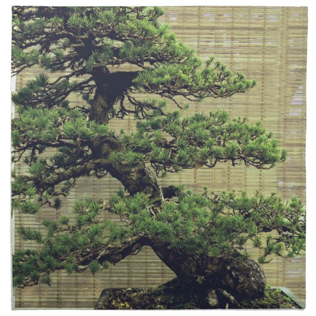 Japanese White Pine Bonsai Tree Photo Cloth Napkin (Front)