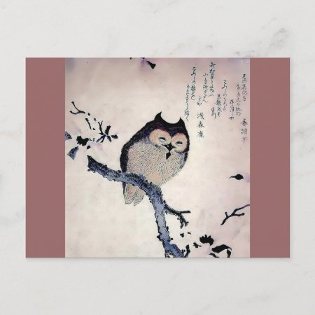 Japanese Woodblock Art Owl Print Postcard