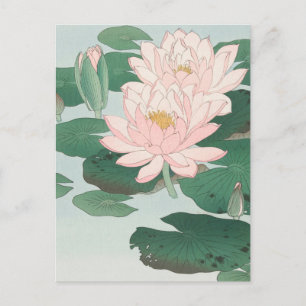 Japanese Woodblock Art Print Pink Water Lily Postcard