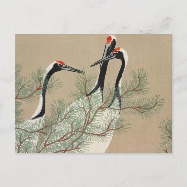 Japanese woodblock-print Cranes - Kamisaka Sekka Postcard (Front)