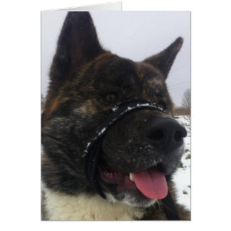 Japaness akita cards