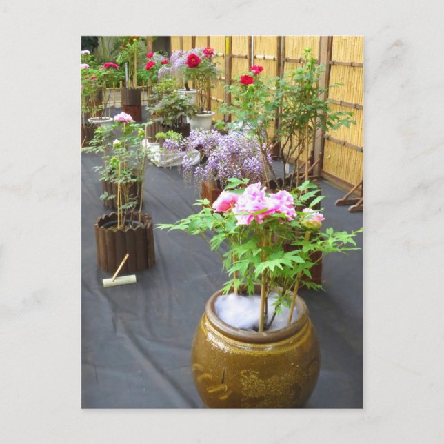 Japan's Scenery Postcard (Front)