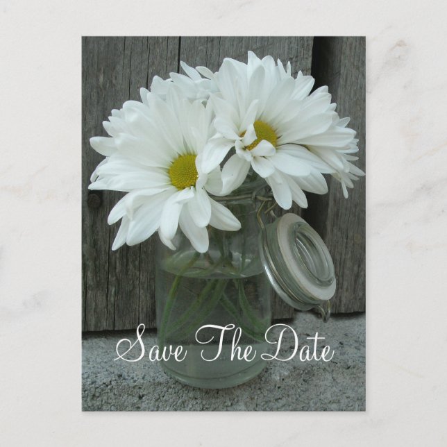 Jar of Daisies Wedding Save The Date Announcement Postcard (Front)