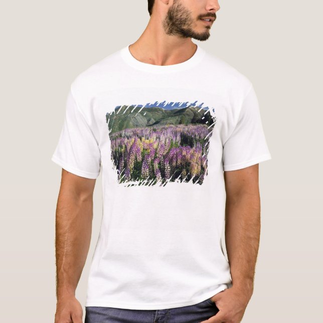 JARBIDGE WILDERNESS, NEVADA. USA. Spur lupine T-Shirt (Front)