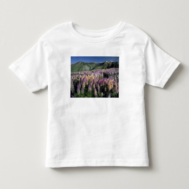 JARBIDGE WILDERNESS, NEVADA. USA. Spur lupine Toddler T-shirt (Front)