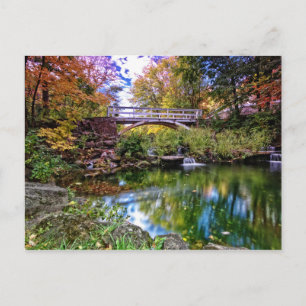 Jardin botanique postcard