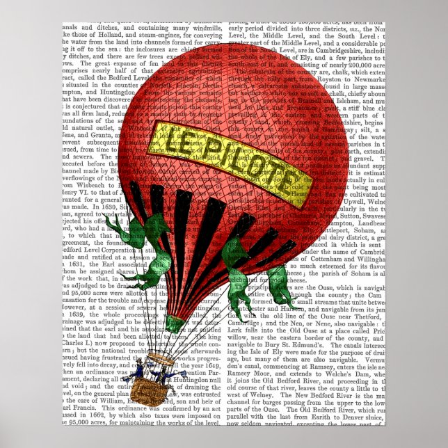 Jardin De Tuileries Hot Air Balloon Poster (Front)
