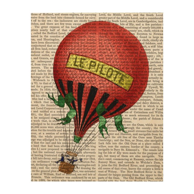 Jardin De Tuileries Hot Air Balloon Wood Wall Art (Front)