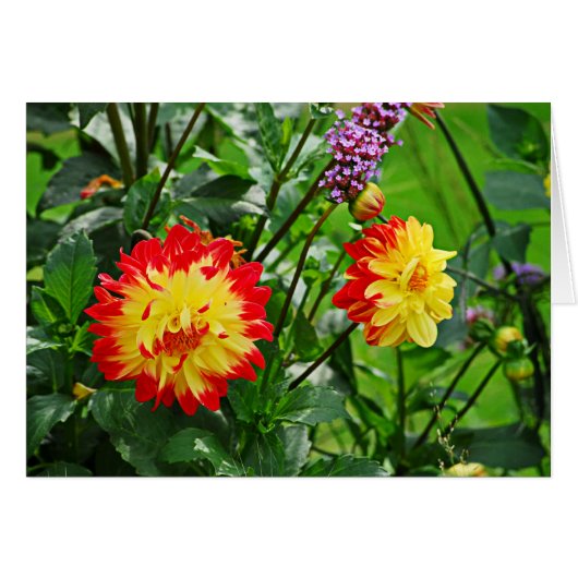 Jardin des Plantes-2 Cards (Front Horizontal)