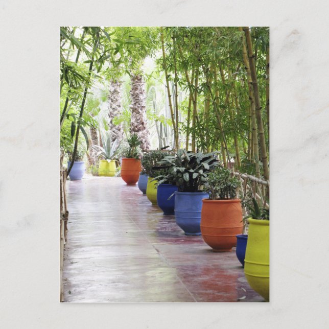 Jardin Majorelle, Majorelle Garden, now a public Postcard (Front)