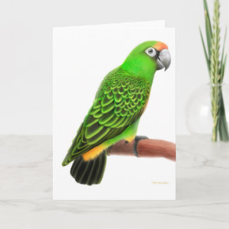 Jardines Parrot Greeting Card