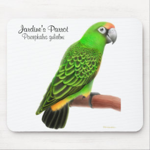 Jardine's Parrot Mousepad