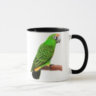 Jardines Parrot Mug