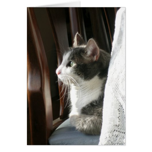 "Jasmine" (2) (Front)