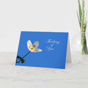 Jasmine and Bumblebee Card