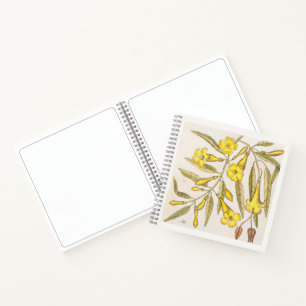 Jasmine Botanical 18th Century Art Sketchbook Notebook
