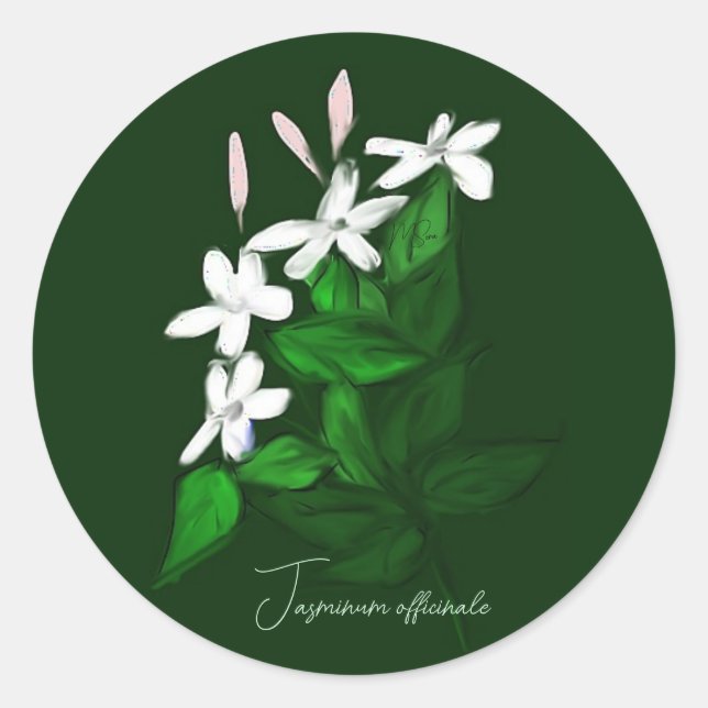 Jasmine Classic Round Sticker (Front)