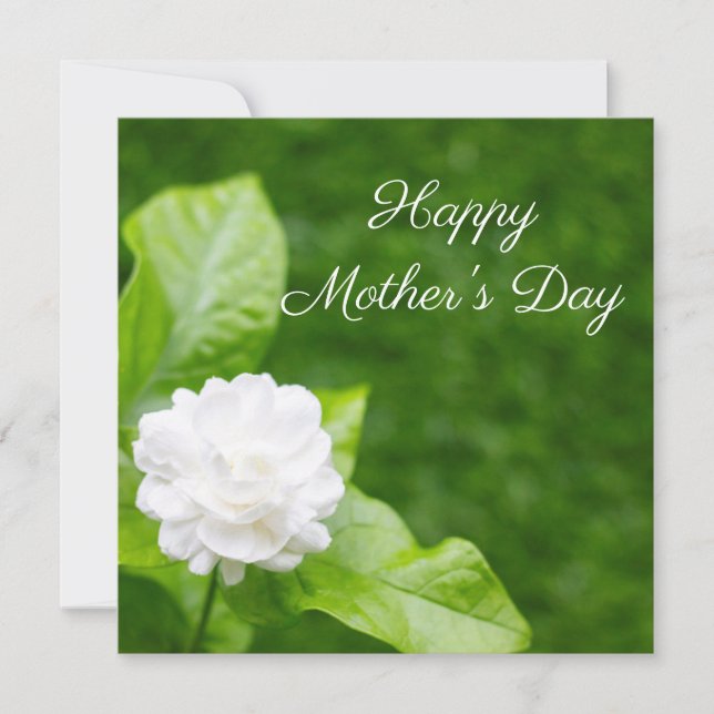 Jasmine flowers are on green Mother's Day Card (Front)