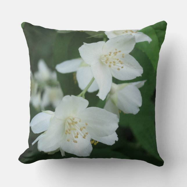 Jasmine Flowers Throw Pillow (Front)